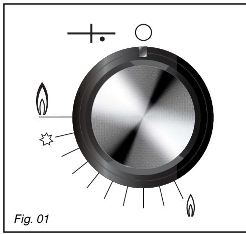 DE DIETRICH DTG1118X - Conseil - 1