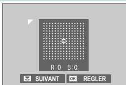 OATAPMX T50 - Correction du vignetage lumineux - 1