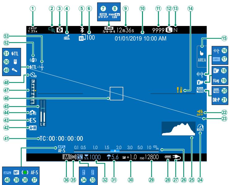 OATAPMX T50 - Le viseur électronique - 1