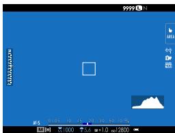 OATAPMX T50 - Viseur - 1