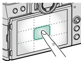OATAPMX T50 - Zone centrale - 1