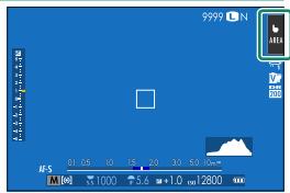 OATAPMX T50 - EVF - 3