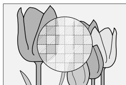 OATAPMX T50 - Assistance M/AP. - 4