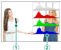 OATAPMX T50 - - Histogrammes - 3