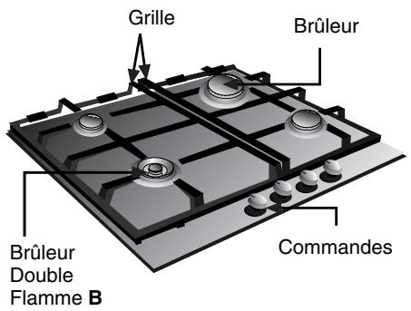 SIEMENS 3422100840 - Ainsi se présente votre table de cuisson : - 3