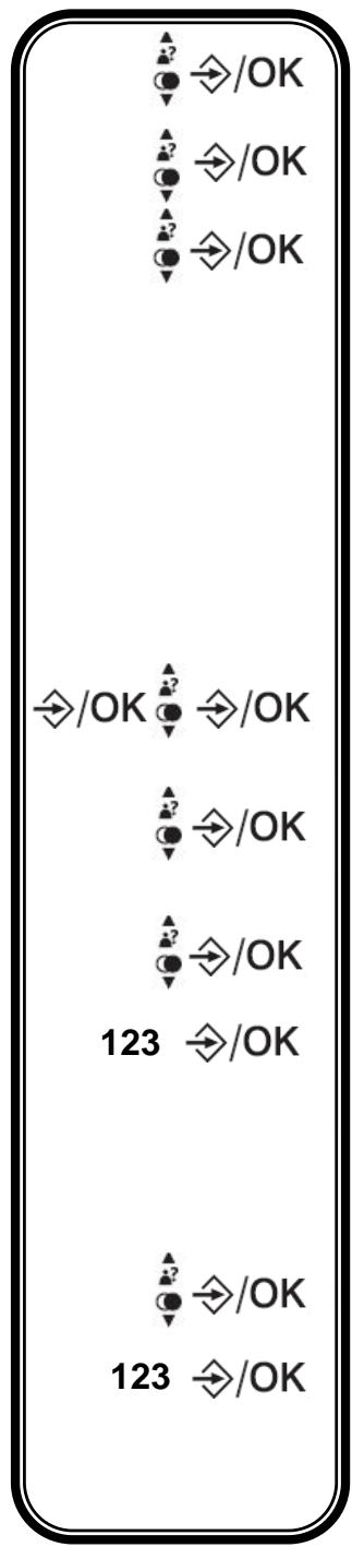DARTY VEGA250 - Sélectionnez le format d'affichage de la date - 1