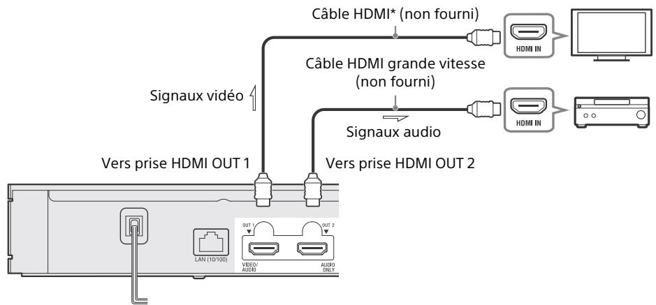 Câble HDMI* (non fourni) Câble HDMI grande vitesse (non fourni) Signaux vidéo Signaux audio Vers prise HDMI OUT 1 Vers prise HDMI OUT 2 LAN (10/100) OUT 1 OUT 2 VIDEO/ AUDIO AUDIO ONLY