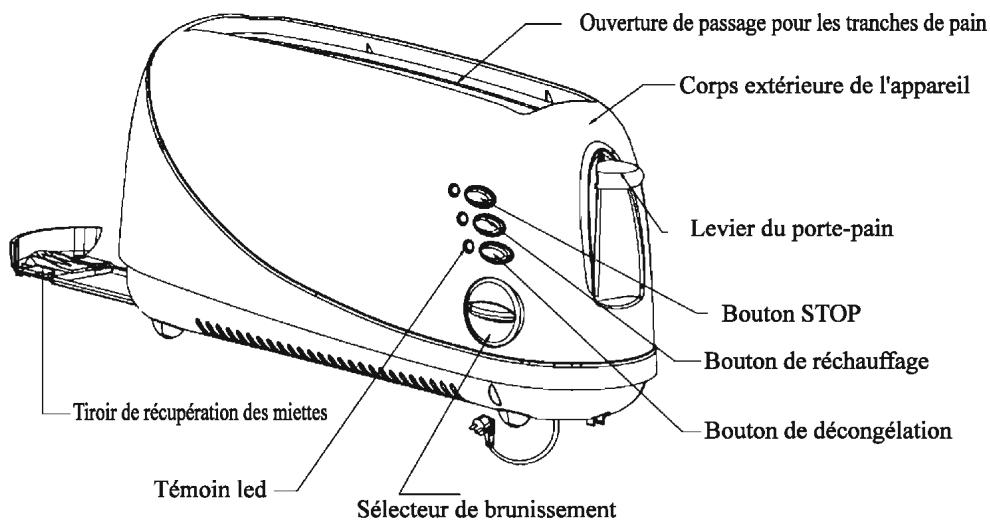 PROLINE PTL 20 - PRÉSENTATION - 1