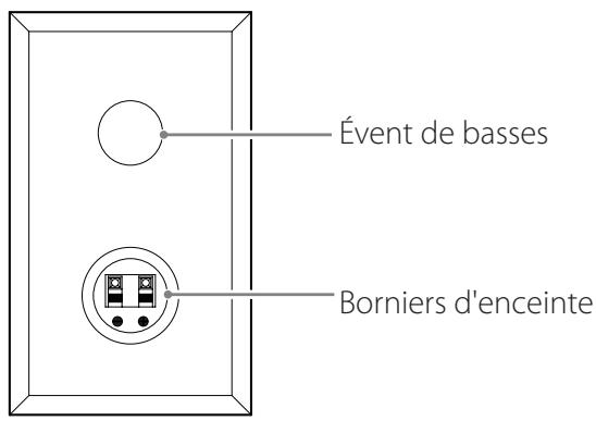 CANON LPP1000 - Branchement des enceintes - 3