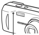 OLYMPUS FE-120X - Modo Macro - 1
