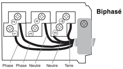 SCHOLTES TI 6523 - Autres types de branchement - 1