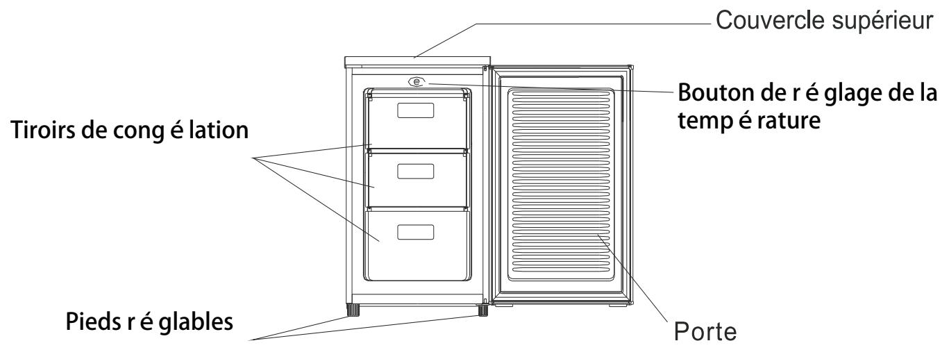 PROLINE TTZ68 - DESCRIPTION - 1