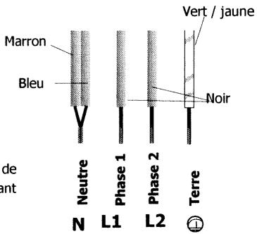 DE DIETRICH DTI 304 BE1 - Branchement - 2
