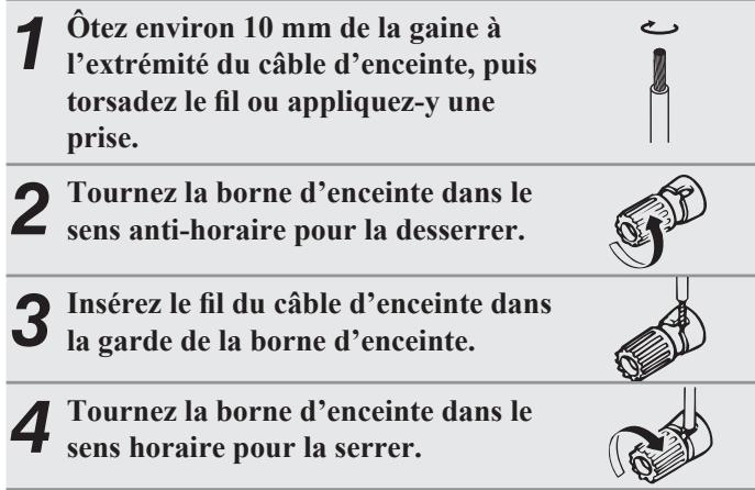 DENON D-M38 - Connexion des câbles d'enceinte - 1