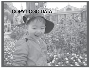 SAMSUNG HT-TZ222 - Paramétrer le PAPIER PEINT - 4