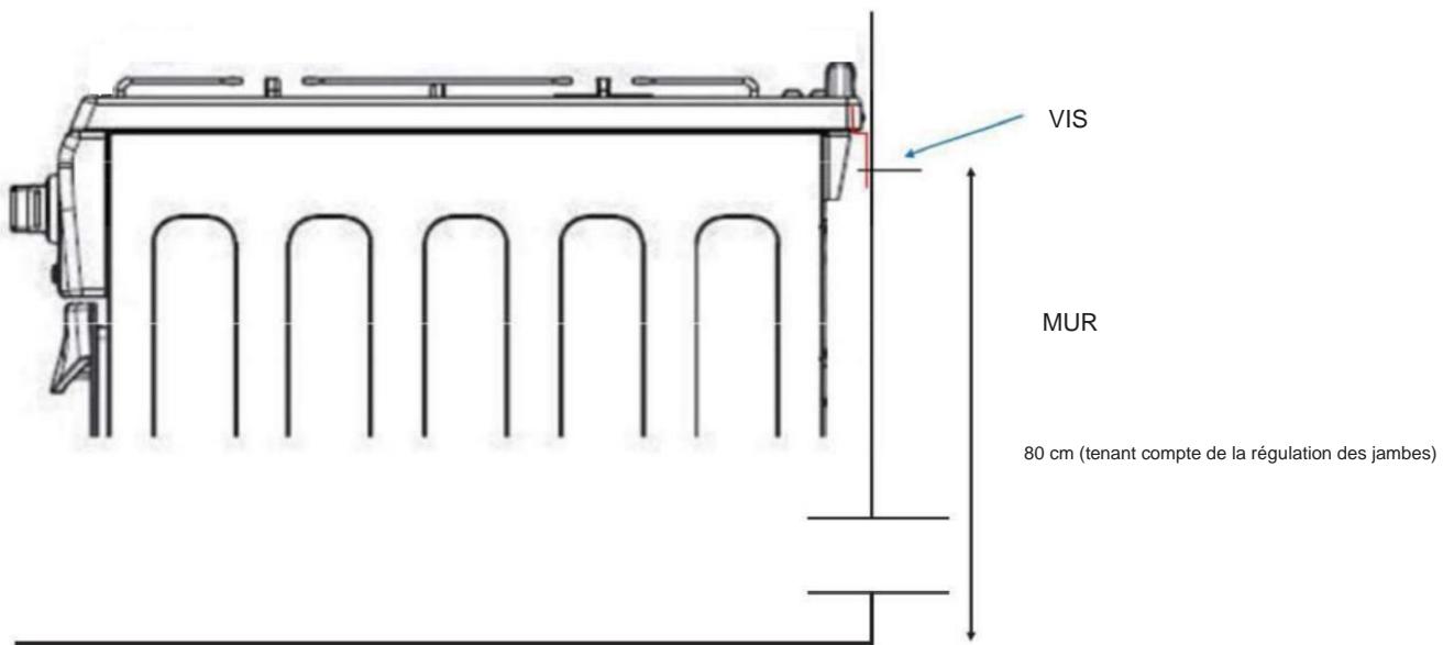 TRIOMPH TFM855IX - Connexionélectrique - 2