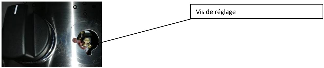 TRIOMPH TFM855IX - Réglage du niveau minimum du brûleur de cuisson pour le gaz butane (bouteille de gaz) - 1
