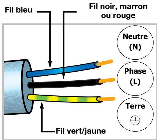 SAUTER STI 63/1 XF1 INOX - Raccordement électrique - 1