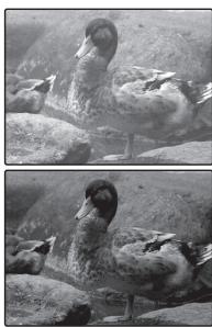 FUJIFILM F80 EXR - Choisissez une valeur. - 2