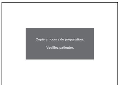 Copie en cours de préparation. Veuillez patienter.