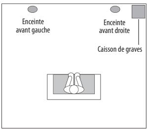 HARMAN KARDON BDS780 - Mise en place du caisson de graves - 1