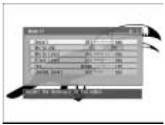 PIONEER DV-R7000 - Comment créé votre propre paramétrage - 2