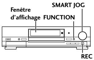 PIONEER DV-R7000 - Conseil - 2