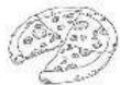 THOMSON THLR359NF - Precooked foods and leftovers - 1
