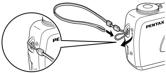 PENTAX Optio 550 - - Indications du guide - 1
