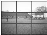 PENTAX Optio 550 - Affichage grille - 2