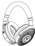FOCAL Audiobathys - 1