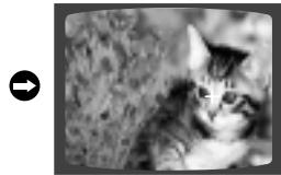 SAMSUNG HTDB 120cobI - Fonction Digest (Abrégé) - 3