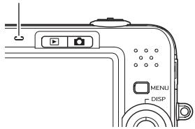 CASIO EX-Z1080 - Témoins - 1
