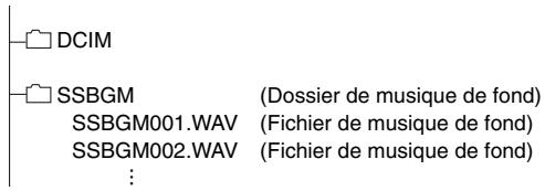 CASIO EX-Z1080 - ● Structure des dossiers - 1