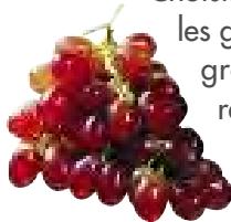 MAGIMIX 18066 - Raisin - 1