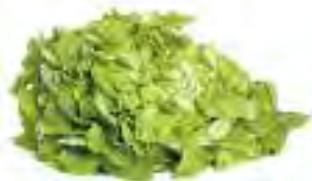 MAGIMIX 18066 - Salade - 2