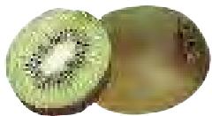 MAGIMIX 18066 - Kiwi - 4