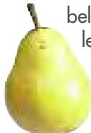 MAGIMIX 18066 - Poire - 6