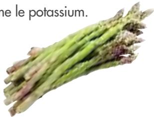 MAGIMIX 18066 - Asperges - 3
