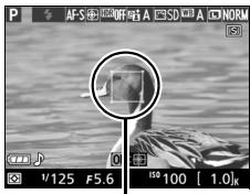 NIKON 05200 KIT 18-55VRIT + 55 - ■ Choix d'un point AF - 6