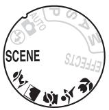 NIKON 05200 KIT 18-55VRIT + 55 - Photographie créative (Modes scène) - 1