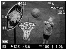 NIKON 05200 KIT 18-55VRIT + 55 - Cadre des videos - 1