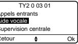 DELTA DORE TYDOM - Aide vocale - 1