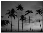 NIKON CoolpixLG - Aurore/crepuscule - 1