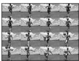 NIKON CoolpixLG - Planche 16 vues sport - 1