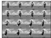 NIKON CoolpixLG - Planche 16 vues - 1