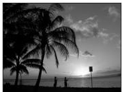 NIKON CoolpixLG - Coucher de soleil - 1