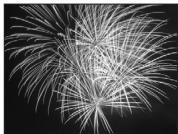 NIKON CoolpixLG - Feux d'artifice - 1