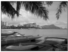 NIKON CoolpixLG - Aide Paysage - 1