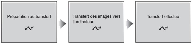 NIKON CoolpixLG - Transfert des photos vers un ordinateur - 3